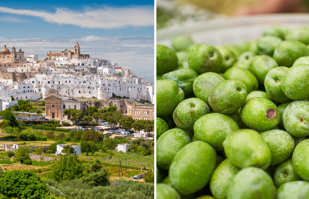 Ostuni og olivenmlle